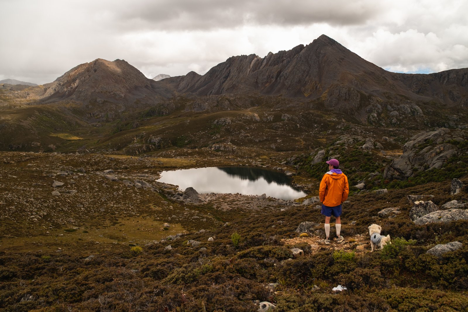 Timothy in an orange jacket standing above an alpine lake with his dog